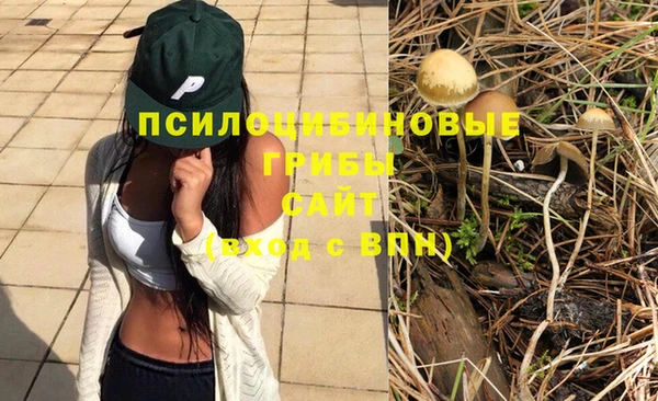 дживик Аркадак