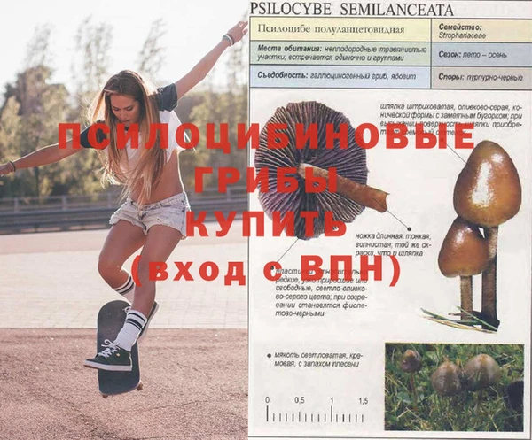 mdpv Балабаново