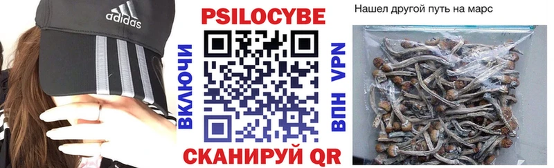 Псилоцибиновые грибы Psilocybe  закладка  Озёры 